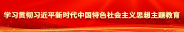 搞日本女人逼快乐学习贯彻习近平新时代中国特色社会主义思想主题教育